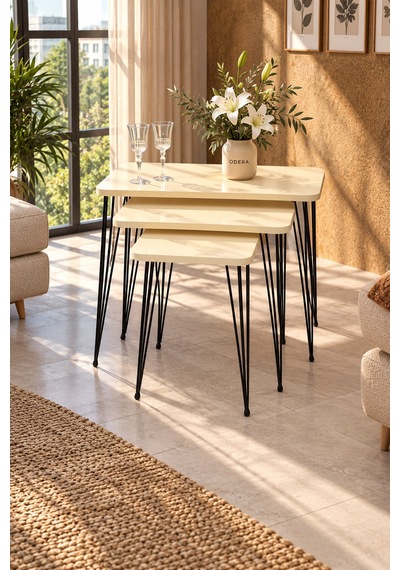Odera Tel Zigon Sehpa 3'lü Set Metal Ayaklı Modern Retro Salon Sehpası Diğer