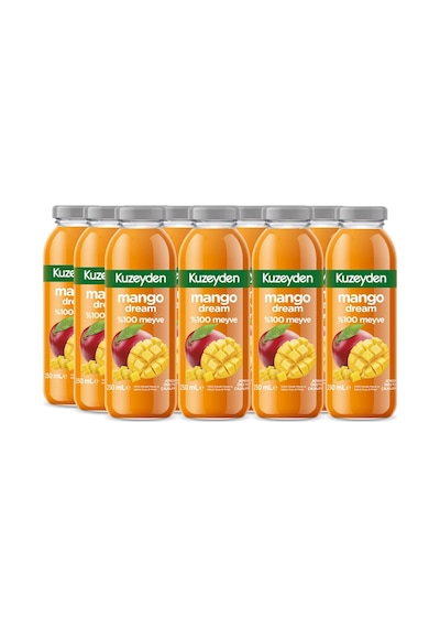 %100 Meyve Mango Dream 12x250ml