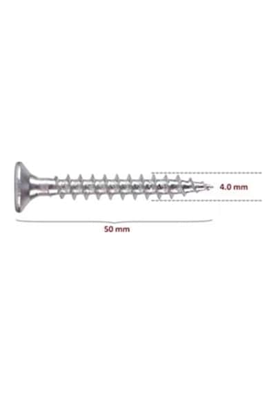 Sunta Vidası (Pz2) 4X50 (500 Adet)