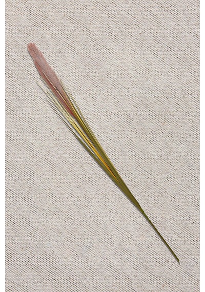Pasabahce Grass Turuncu / Bej 92 Cm - 1 Adet