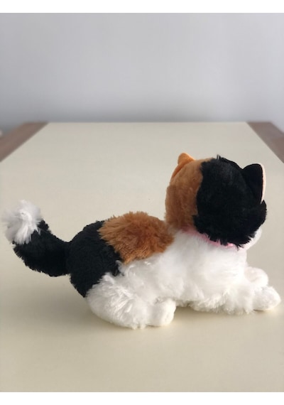 Sesli Miyavlayan Peluş Kedi Oyuncak Hediyelik Uyku Arkadaşı 30 Cm Çok Renkli