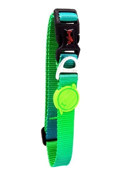 Tailpetz Amazon M Küçük-Orta Irk Köpek Boyun Tasması (Boyun 30 cm
