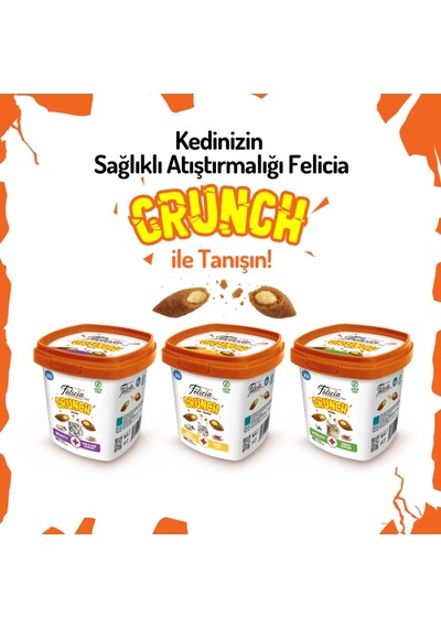 Felicia Crunch Vitality Kedi Ödülü 100 Gr 6'lı