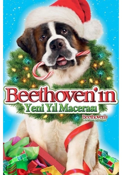 Beethoven'ın Hazine Macerası DVD