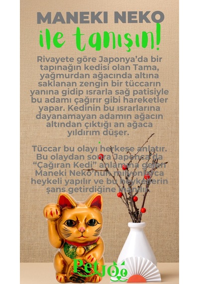 Petjoo 4.Maneki Neko Yeşil-Gri Qr'lı Kedi Künyesi