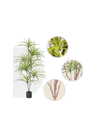 Yapay Ağaç Dracaena Ağacı 8Gövdeli 180cm Premium Kalite