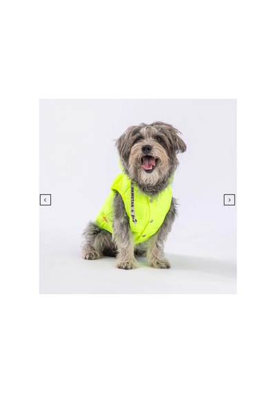 Stupid Yeşil Nakışlı Şirin Köpek Kıyafeti