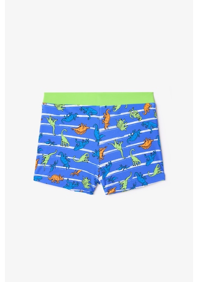 Penti Renkli Dinozor Desenli Erkek Çocuk Boxer Mayo