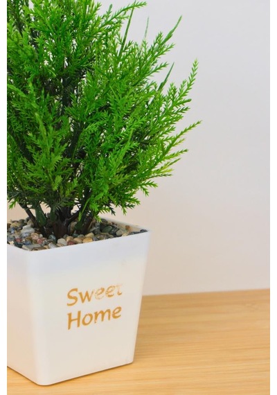 Digithome Dekoratif Saksılı Yapay Kuşkonmaz Ağacı Beyaz 35cm Eva-5683 C1-1-423