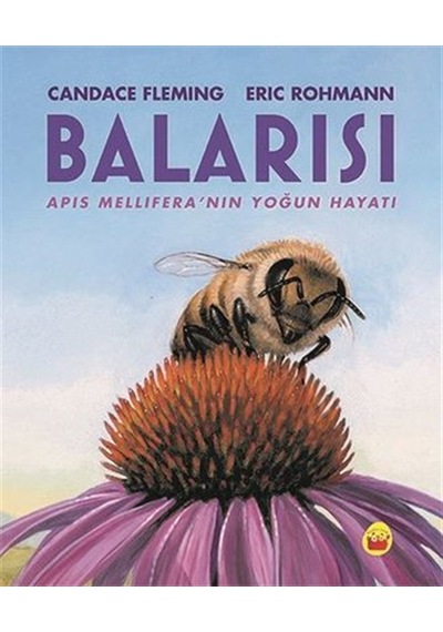 Balarısı - Apis Mellifera'nın Yoğun Hayatı - Candace Fleming - Kuraldışı Yayınları