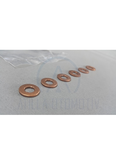 6 x BMW 3 SERİSİ G20 G21 B57 330d DİZEL ENJEKTÖR PULU ELRİNG