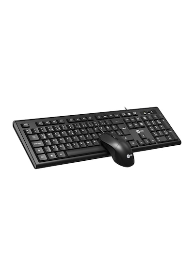 Lecoo CM101 USB Kablolu Türkçe Q Klavye & Mouse Set