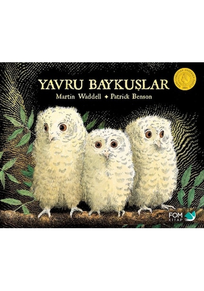 Yavru Baykuşlar