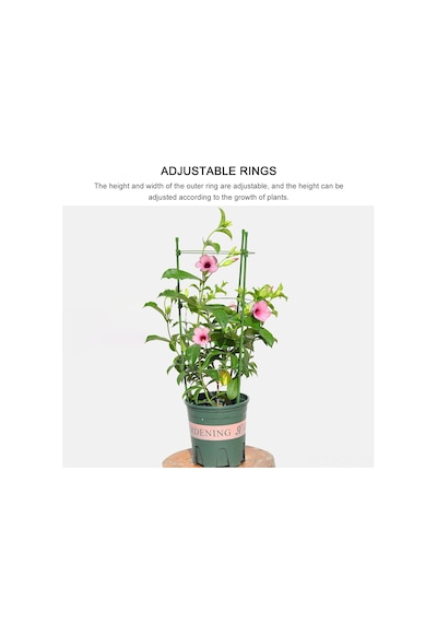 Padalink Bitki Tırmanma Desteği 45cm - Dayanıklı Plastik-fiberglas Çemberli Süs Bitkisi İçin Tırmanma Aracı