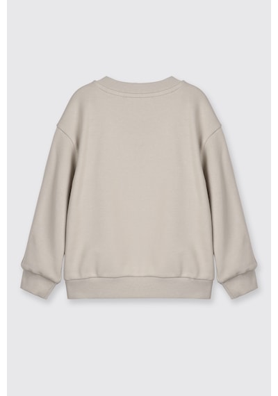 Panço Erkek Bebek Kol Üstü Şerit Detaylı Taş Sweatshirt Gri