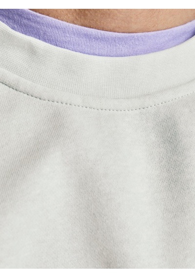 Jack & Jones Erkek Düz Sweatshirt - 12186363 001