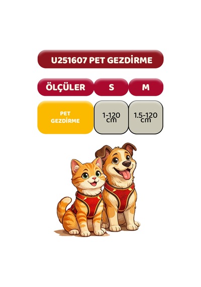 Galatasaray Pet Gezdirme Kayışı U251607