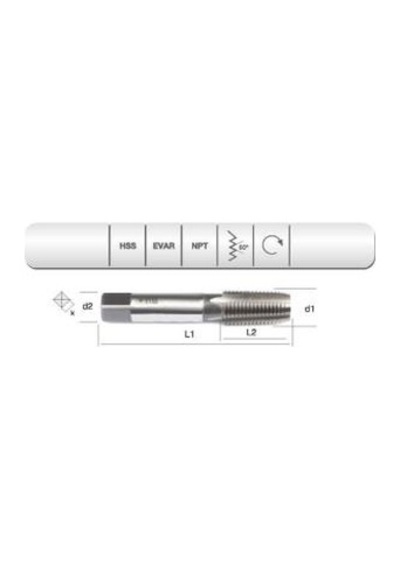 Evar Hss Usa.std. 1/16 Konik Npt 3/8 X1