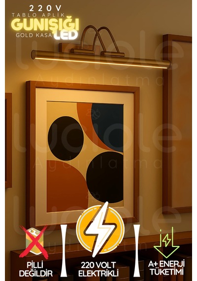 Parlak Gold Kasa Günışığı Led Flüt Tablo Aplik 35 Cm 220v Duvar Işığı Voltline Serisi Diğer