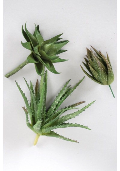 Yapay Succulent Sukulent Set - 26