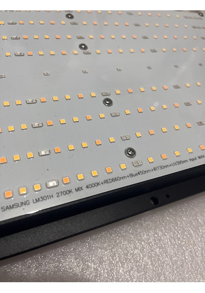 240w Quantum Board Bitki Yetiştirme Lambası Full Spektrum
