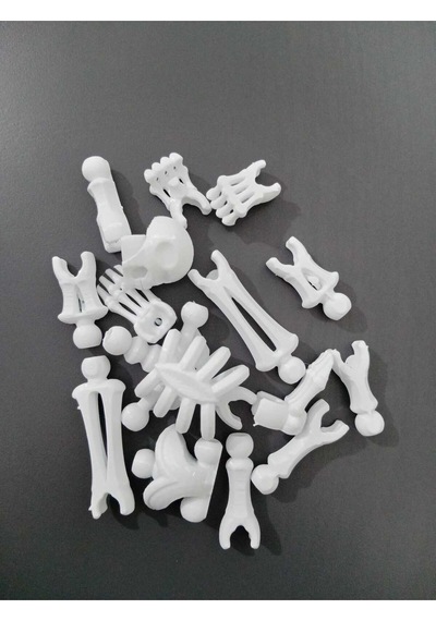 Sök+tak İnsan İskeleti