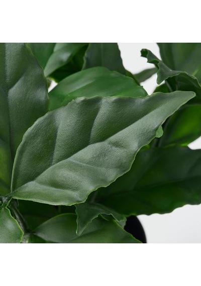 Ikea Fejka Yapay Bitki, Yeşil, 9 Cm, İç/dış Mekan Tatlı Defne