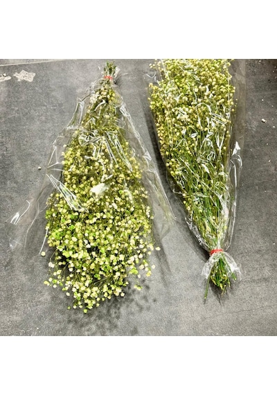 Konak Züccaciye Şoklanmış Doğal Cipso Bağı Yeşil 50 Gr