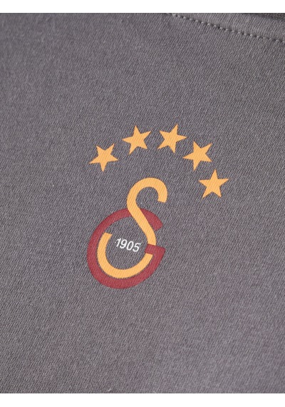 Gsstore Galatasaray Erkek T-shirt E261084 Koyu Gri