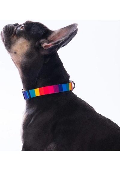 Pawstar Rainbow Boyun Tasması M Boyun Çevresi: 32 Cm X 48 Cm Çok Renkli