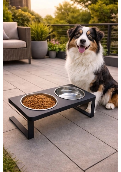 Reyo Ok-ay Store Radessa Xl Yüksek Standlı Çift Hazneli Mama Ve Su Kabı, Büyük Ve Orta Boy Köpek Ve Kedi Su Kabı Paslanmaz Çelik Siyah