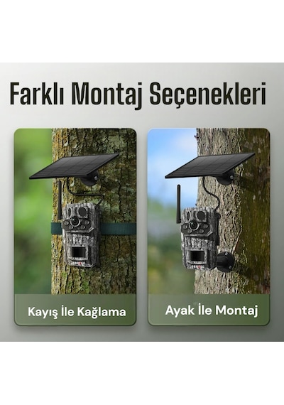3 Sensörlü Gps Destekli 4g Sim Kartlı Solar Foto Kapan Kamera