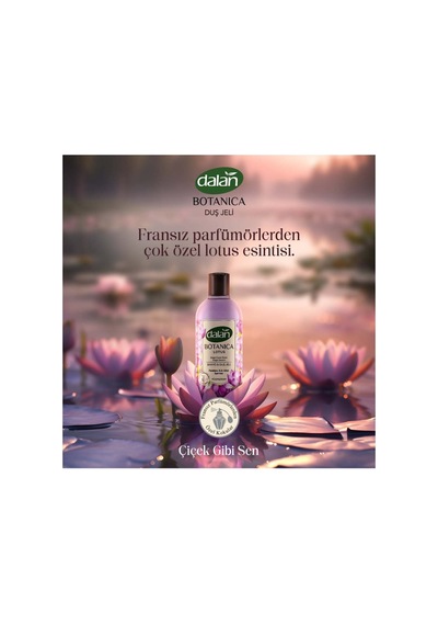 Lotus Duş Jeli 4'lü + Wellnax Sünger 4'lü Set