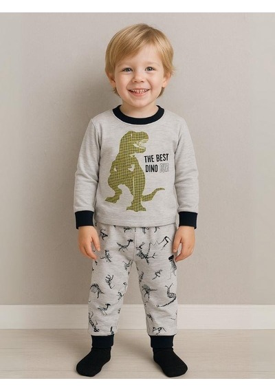 Zekids Erkek Çocuk Dinozor Baskılı Uzun Kollu Pijama Takımı-16047 Grı