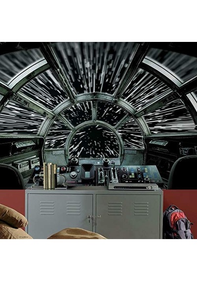 Millennium Falcon Soy Ve Yapıştır Duvar Resmi - 3 2 M X 1 8 M Çok Renkli