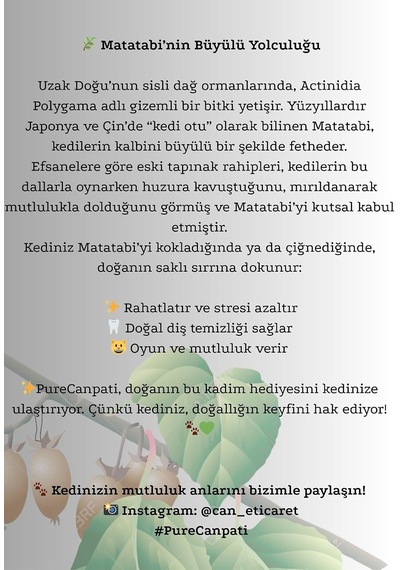 %100 Doğal Matatabi Çubukları Kediler İçin Catnip Alternatifi, Azaltıcı & Diş Temizleyici Çiğneme Oyuncağı 3 Lü Paket