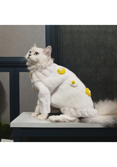 Kedi Ve Köpek İçin Papatyalı Beyaz Kazak