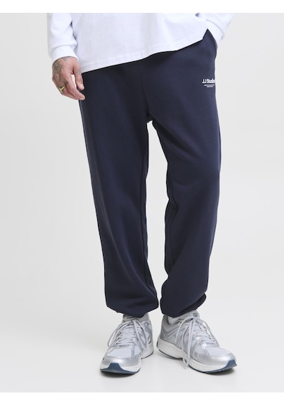 Jack & Jones Jpstkane Soho Sweat Pants Noos Lacivert