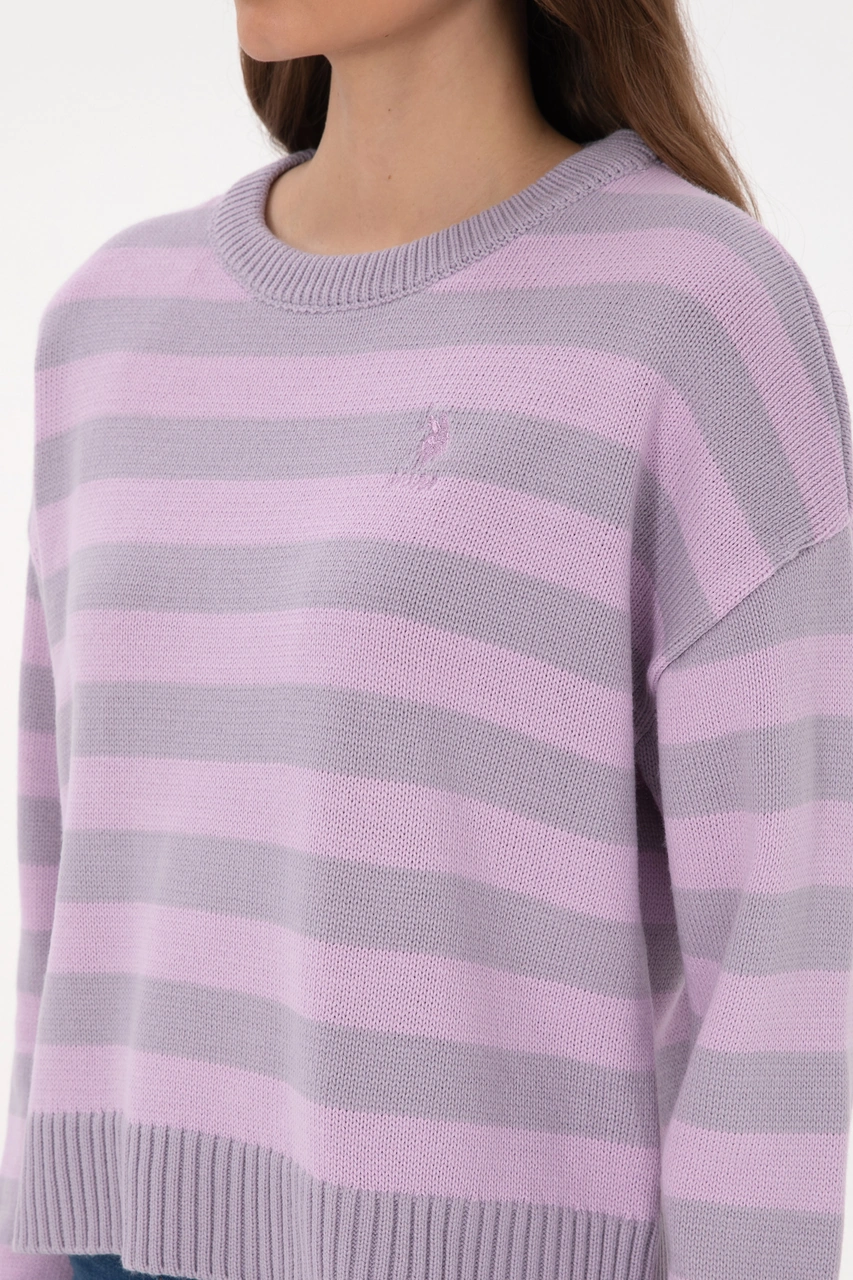 U.S. Polo Assn. Kadın Mor Çizgili Bisiklet Yaka Kazak 50314653-VR245