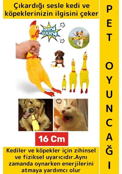 Evcil Hayvan İlgi Çekici Enerji Atma Fiziksel Aktivite Ses Çıkaran Tavuk Kedi Köpek Oyuncağı 16 Cm