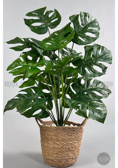 Yapay Monstera Deve Tabani 65 Cm Kulplu Hasir Saksıda Krem