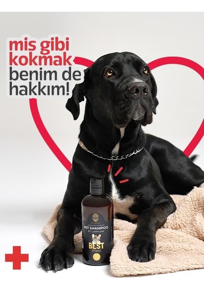 Pet Cosmetic Kedi Ve Köpek Şampuanı 500 Ml Göz Yakmayan, Doğal Ve Anti Alerjen Formül Köpeklerde Kaşıntı Giderici Etki