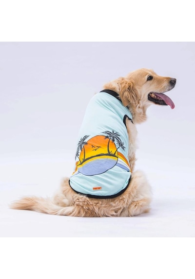 Pawstar Mint Sunrise Büyük Köpek Tişörtü Köpek Kıyafeti