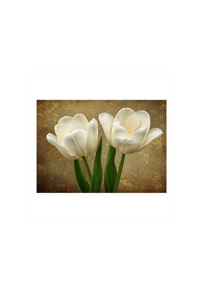 Beyaz Lale Zarafeti Art Mdf Tablo