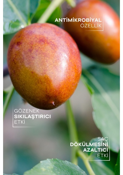 Tto Thermal Jojoba Yağı 10 Ml – Doğal Nem Koruyucu & Cilt Besleyici Yağ