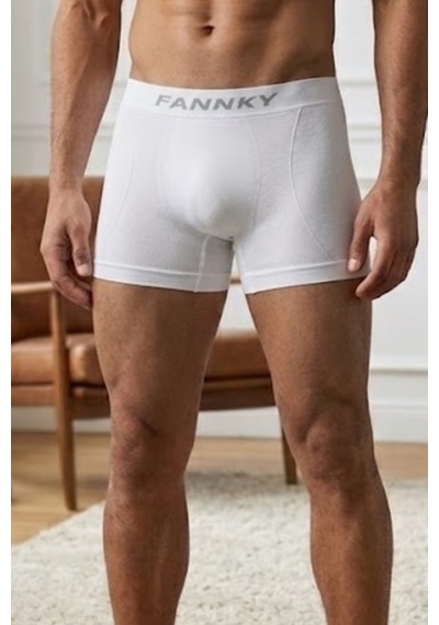 Fit Women Erkek Rahat Esnek Seamless 3 Lü Boxer Kahverengi