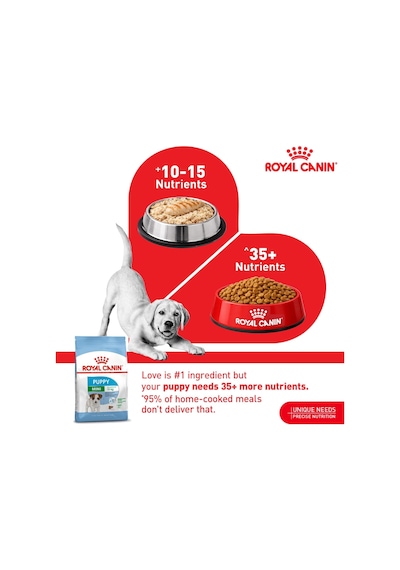 Tr Mini Puppy Yavru Kuru Köpek Maması 4 Kg