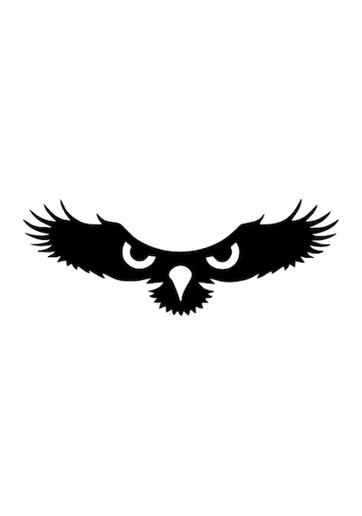 Kartalın Gözleri Duvar Dekor Sticker 40 X 16 Cm