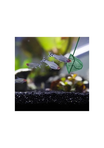 Herşeytrend Akvaryum Balık Kepçesi 12 Cm