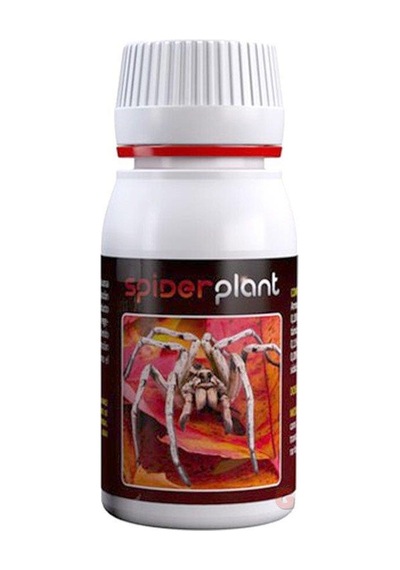 Agrobacterias Spider Plant 60 ML